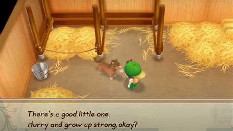 story of seasons friends of mineral town horse